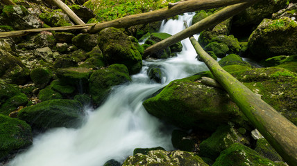 Wall Mural - Pristine river and waterfalls deep in the mountains, in summer, and bright green foliage