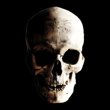 Contrast Image Of A Real Human Skull On A Dark Background. Isolated On Black.