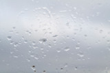 Fototapeta Dmuchawce - raindrops on the glass 