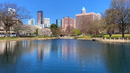 Wall Mural - Charlotte, North Carolina  skyline on a beautiful  spring day