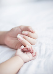 Wall Mural - Asian parent hands holding newborn baby fingers, Close up mother’s hand holding their new born baby. Love family healthcare and medical mother’s day concept