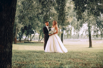 Wedding photos in nature.Beautiful couple