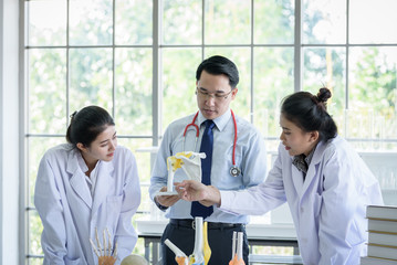 Asian teacher has teaching to student about science and anatomical in laboratory