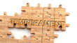 Complex and confusing temperament: learn complicated, hard and difficult concept of temperament,pictured as pieces of a wooden jigsaw puzzle creating a whole, completed word, 3d illustration
