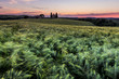 © Evgeni Dinev - Tuscany church surrounded by cypresses