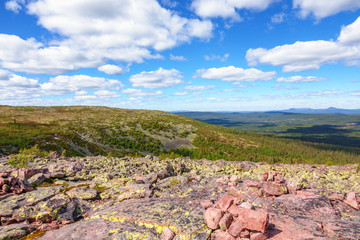 Sticker - Aerial view at a woodland landscape from a block field in Fulufjallet national park in Sweden