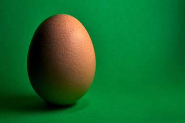 brown chicken egg on green background