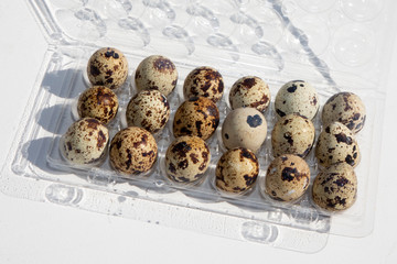 Quail eggs in a transparent plastic container on white background