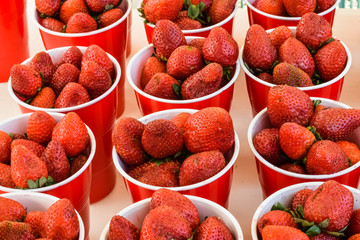 Frische Erdbeeren auf Markt in roten Bechern