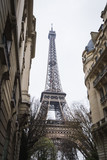 Fototapeta Miasta - The Eiffel Tower behind the buildings of Paris - Paris, France