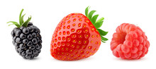 Wild Berries Mix, Blackberry, Strawberry, Raspberry, Isolated On White Background, Clipping Path, Full Depth Of Field