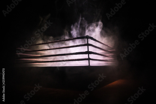 Εκτύπωση καμβά Empty boxing ring with red ropes for match in the stadium arena