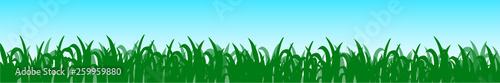 Green grass, field, nature eco background - vector