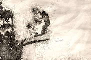 Canvas Print - Sketch of a Red-Tailed Hawk Taking to Flight