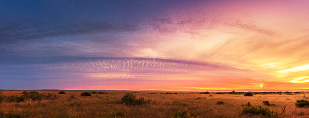 beautiful panorama sunset and sunrise at west coast national park , soth africa
