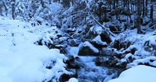 Creek In Snow Covered Winter Landscape