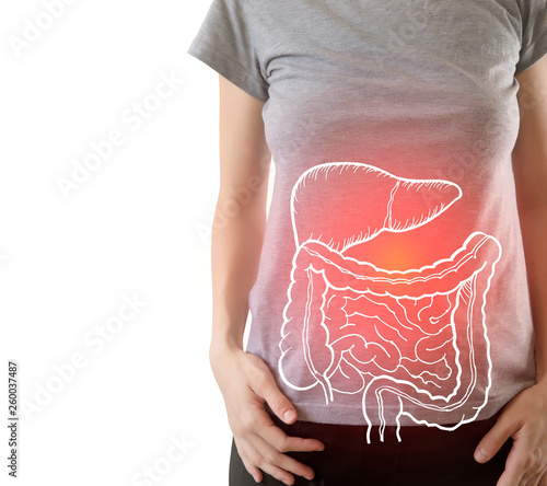 Fotografía highlighted internal organs with some illness