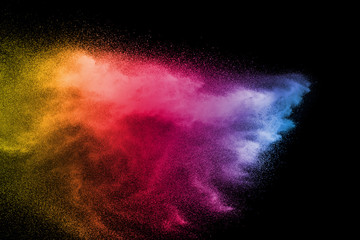 Wall Mural - explosion of color powder on black background. splash of color powder dust on dark background.