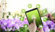 gardening equipment e-commerce concept, online shopping on digital tablet, hand pointing and touch screen with green tools icons, on spring flower plants background
