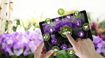 gardening equipment e-commerce concept, online shopping on digital tablet, hand pointing and touch screen with tools icons, on spring flower plants background