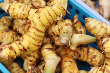 Canvas Print - Fresh galangal for cooking in the market