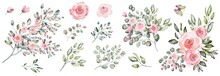 Set Of Floral Arrangements. Watercolor Drawing Of Twigs With Leaves And Flowers. Botanical Illustration .Composition Of Pink Roses And Wild Herbs.