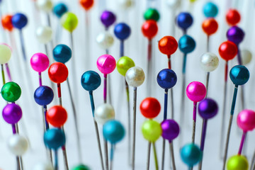 Wall Mural - Sewing pins. Colorful sewing pins background. Close Up of sewing pins with multi colored heads. Part of set.