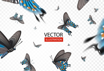 Vector illustration butterflies isolated on transparent background. Collection set of colorful butterflies for logo. Valentine's day or spring sale print design.  Wedding card and decoration concept. 