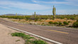 Saguaro Cactus Highway Landscape, Arizona