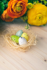 Wall Mural - Top and close up view of bright colorful yellow and orange blooming flowers and a straw Easter nest with dotted painted eggs decorations on pale wooden background. Floral Easter eggs nest decor