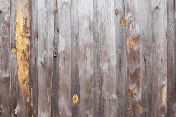 Texture of gray beige old smooth wood. Plank fence