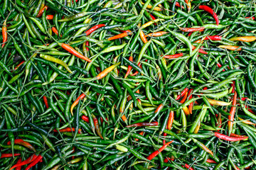 Wall Mural - Basket of dried chili pepper