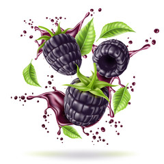 Wall Mural - Vector realistic blackberry juicy fruit in motion