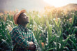 © arrowsmith2 - African Farmer with hat stand in the corn plantation field