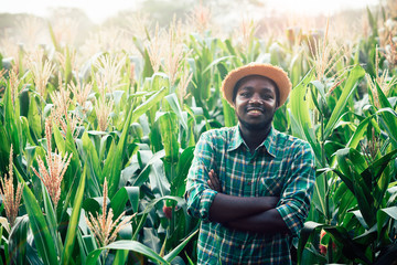 African Farmer with hat stand in the corn plantation field