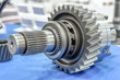 © nordroden - Steel gears and rolling bearing.