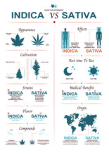 The Difference Of Leaf Cannabis Sativa And Indica