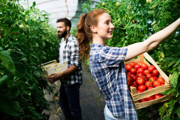 Two young people working in greenhouse.