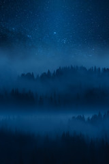 Wall Mural - stars in sky above foggy woodland