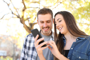 Wall Mural - Happy couple in a park using a smart phone