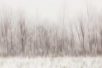 Wall Mural - abstract forest blurred winter vertical lines / winter forest background, abstract landscape