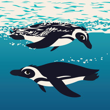 Two Penguins Floating In The Sea Water. Antarctic Birds Swimming In Ocean, Looking To Each Other. Vector Illustration Of Cute African Penguins Underwater In Flat Cartoon Style On Blue Background.