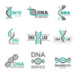 Dna logo. Genetic science symbols helix biotech vector business identity. Research medical biotech, molecule and dna logo illustration