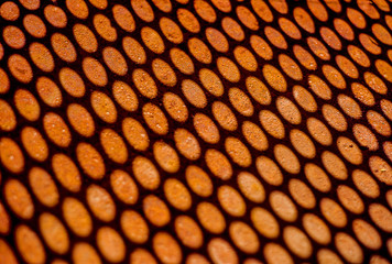 Poster - Closeup shadow from perforated net on rusty metal sheet. Texture of big holes with depth of field. Horizontal industrial mesh