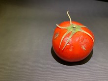 The Damaged Surface Of The Tomato. Red Rotten Tomato On Dark Grey Background. Spoiled Vegetable.