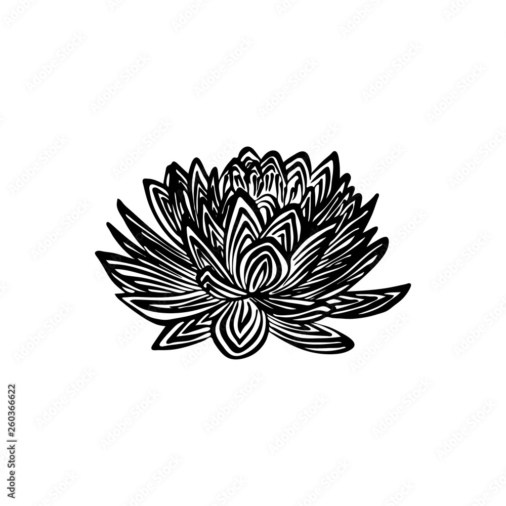 Ręcznie Rysowane Szkic Konspektu Kwiat Lotosu Wektor Czarny