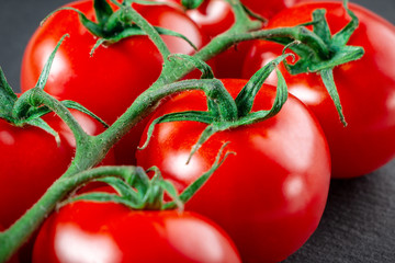 Ripe tomatoes on a branch close-up.