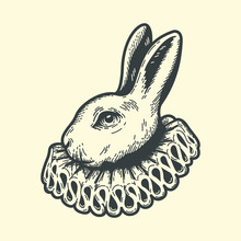 White Rabbit, Dressed As Herald, Alice's Adventures In Wonderland, Vintage Engraving Style.