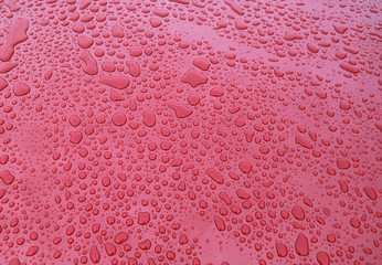 Water drops at metallic red car paint