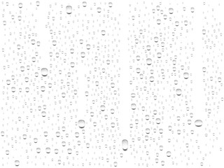 vector realistic transparent water drops on a white background